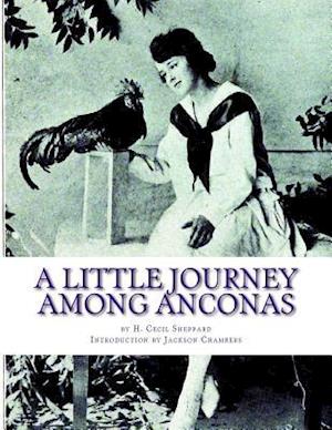 A Little Journey Among Anconas