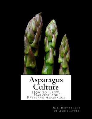 Asparagus Culture