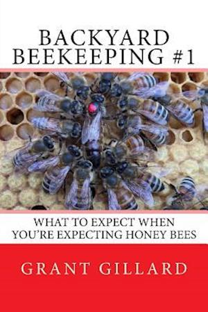 Backyard Beekeeping #1