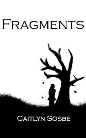 Fragments