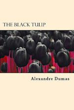 The Black Tulip