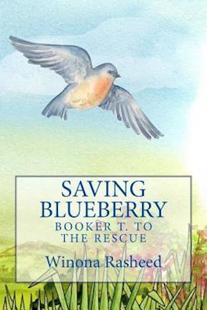 Saving Blueberry