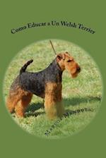 Como Educar a Un Welsh Terrier