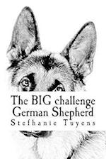 The BIG challenge German Shepherd