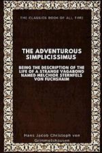 The Adventurous Simplicissimus