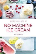 Seriously Grown Up No Machine Ice Cream