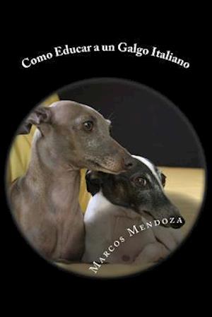 Como Educar a Un Galgo Italiano