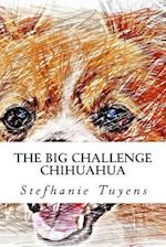 The Big Challenge Chihuahua