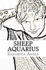 Sheep Aquarius