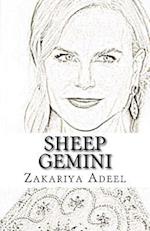 Sheep Gemini