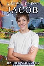 A Lancaster Amish Life for Jacob