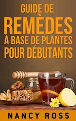 Guide de remèdes à base de plantes pour débutants