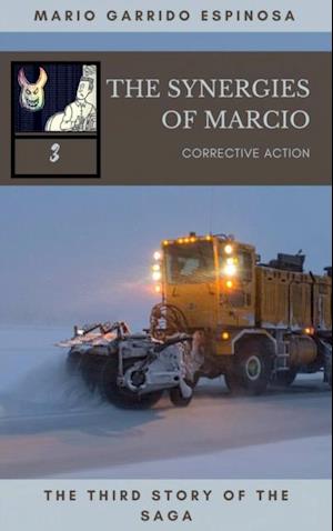 synergies of Marcio 3: Corrective actions