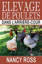 Elevage de poulets dans l''arrière-cour