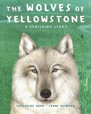 The Wolves of Yellowstone