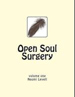 Vol. 1, Open Soul Surgery, Large Print Edition