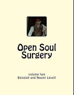 Vol. 2, Open Soul Surgery, Large Print Edition