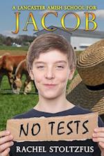 A Lancaster Amish School for Jacob