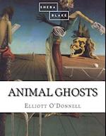 Animal Ghosts