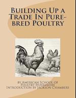 Building Up a Trade in Pure-Bred Poultry