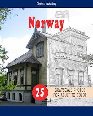 Cities Grayscale Coloring Book for Adult Landmarks in Norway Grayscale Coloring Book