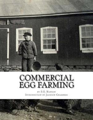 Commercial Egg Farming