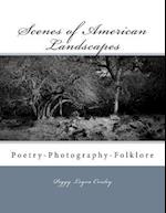 Scenes of American Landscapes