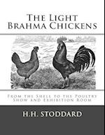 The Light Brahma Chickens (the Light Brahma Fowls)