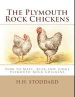 The Plymouth Rock Chickens
