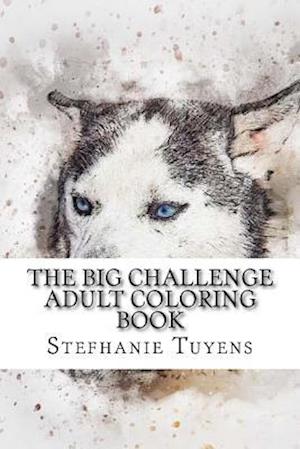 The BIG Challenge Adult Coloring Book