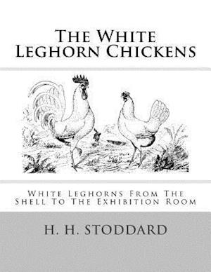 The White Leghorn Chickens