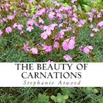 The Beauty of Carnations