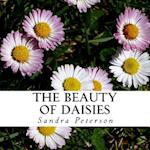 The Beauty of Daisies