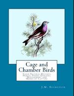 Cage and Chamber Birds