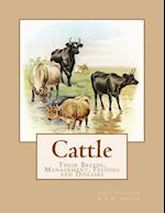 Cattle