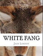 White Fang