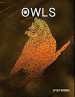 Owls: Owls - This book is a collection of 30 unique detailed Owl designs. @guywaisman 