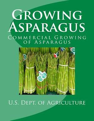 Growing Asparagus