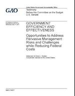 Government Efficiency and Effectiveness, Opportunities to Address Pervasive Management Risks and Challenges While Reducing Federal Costs