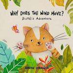 Why Does the Wind Move?