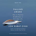 Falling Awake: How to Practice Mindfulness in Everyday Life