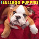 Just Bulldog Puppies 2023 Wall Calendar
