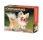 Chihuahuas 2023 Box Calendar