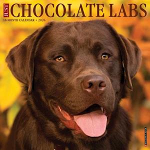 Just Chocolate Labs 2024 12 X 12 Wall Calendar