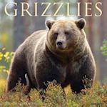 Grizzlies 2024 12 X 12 Wall Calendar