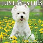 Just Westies 2024 12 X 12 Wall Calendar