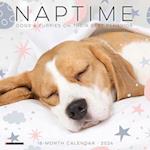 Naptime (Dogs) 2024 7 X 7 Mini Wall Calendar