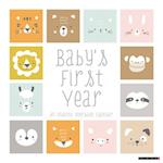 Baby's First Year Undated 12 X 12 Wall Calendar