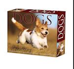 Dogs 2024 6.2 X 5.4 Box Calendar