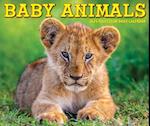 Baby Animals 2025 6.2 X 5.4 Box Calendar